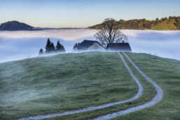 Alp, Alpen, Alps, Appenzell, Appenzell Ausserrohden, Appenzell Innerrhoden, Appenzeller Hinterland, Autumn, Baum, Berg, Bergmassiv, Fall, Herbst, Nebel, Nebelmeer, Ostschweiz, Schweiz, Suisse, Switzerland, Urnäsch, Wetter, alps