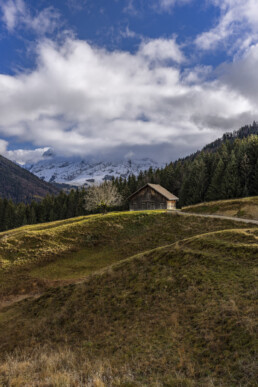 Alp, Alpen, Alps, Appenzell, Appenzell Ausserrohden, Appenzell Innerrhoden, Appenzeller Hinterland, Autumn, Baum, Berg, Bergmassiv, Fall, Herbst, Nebel, Nebelmeer, Ostschweiz, Schweiz, Schwägalp, Suisse, Switzerland, Säntis, Urnäsch, Wetter, alps