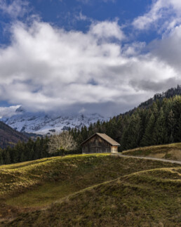 Alp, Alpen, Alps, Appenzell, Appenzell Ausserrohden, Appenzell Innerrhoden, Appenzeller Hinterland, Autumn, Baum, Berg, Bergmassiv, Fall, Herbst, Nebel, Nebelmeer, Ostschweiz, Schweiz, Schwägalp, Suisse, Switzerland, Säntis, Urnäsch, Wetter, alps
