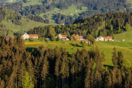 Appenzell, Appenzell Ausserrohden, Appenzeller Hinterland, Appenzellerhaus, Bauerhaus, Ostschweiz, Schweiz, Suisse, Switzerland, Waldstatt