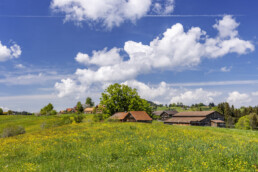 Appenzell, Appenzell Ausserrohden, Appenzeller Hinterland, Blumenwiese, Frühling, Ostschweiz, Schweiz, Spring, Suisse, Switzerland, Waldstatt, Wiese, spring