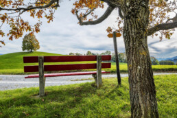 Appenzell, Appenzell Ausserrohden, Appenzeller Vorderland, Aussichtsbank, Autumn, Bank, Baum, Fall, Herbst, Ostschweiz, Schweiz, Suisse, Switzerland, Walzenhausen