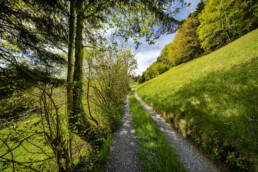 Appenzell, Appenzell Ausserrohden, Appenzeller Vorderland, Frühling, Ostschweiz, Schweiz, Spring, Suisse, Switzerland, Walzenhausen, spring