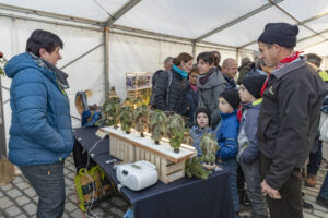 Advent, Adventsmarkt, Appenzell, Appenzell Ausserrohden, Appenzeller Hinterland, Christmas, Urnäsch, Weihnachten, Weihnachtsmarkt, Weihnachtszeit