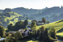 Appenzell, Appenzell Ausserrohden, Landwirtschaft, Schweiz, Suisse, Switzerland, Tracht, Trogen, Viehschau, Wirtschaft, tradition