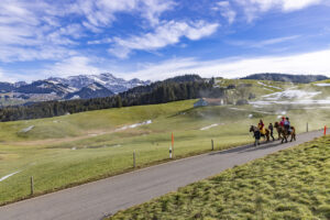 Appenzell, Appenzell Ausserrohden, Appenzeller Hinterland, Bloch, Brauchtum, Ostschweiz, Schweiz, Suisse, Switzerland, Tracht, Urnäsch, tradition