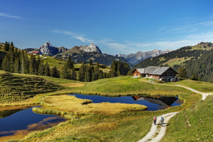 Autumn, Bern, Berner-Oberland, Berneroberland, Fall, Herbst, Schweiz, Suisse, Switzerland