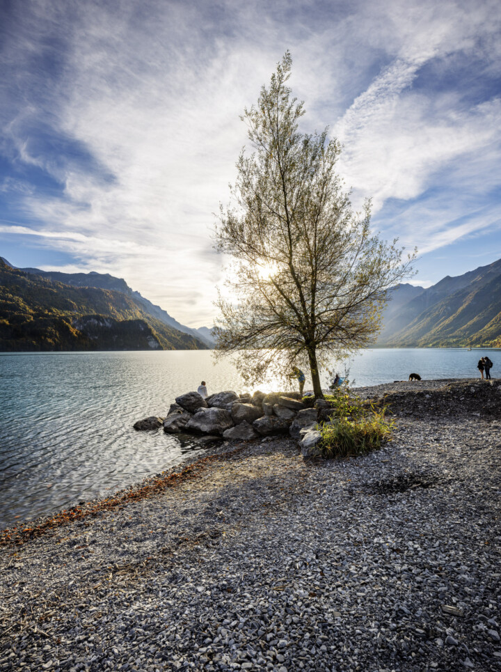 Autumn, Baum, Bern, Berner-Oberland, Berneroberland, Fall, Herbst, Schweiz, See, Suisse, Switzerland