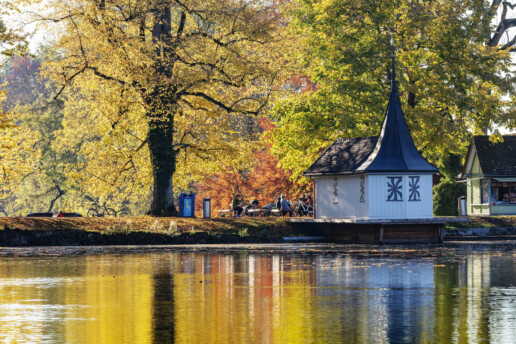 Autumn, Baum, Fall, Herbst, Schweiz, St. Gallen, Suisse, Switzerland