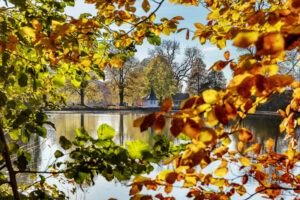 Autumn, Baum, Fall, Herbst, Schweiz, St. Gallen, Suisse, Switzerland