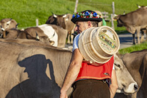 Alp, Alpabfahrt, Alpen, Alps, Appenzell, Appenzell Ausserrohden, Appenzeller Hinterland, Autumn, Fall, Herbst, Kühe, Landwirtschaft, Ostschweiz, Schweiz, Sennen, Suisse, Switzerland, Tracht, Urnaesch, Wirtschaft, alps, tradition, Öberefahre