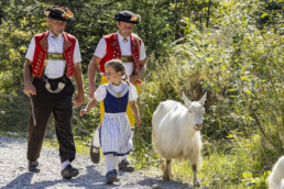Alp, Alpabfahrt, Alpen, Alps, Appenzell, Appenzell Ausserrohden, Appenzeller Hinterland, Autumn, Fall, Herbst, Kühe, Landwirtschaft, Ostschweiz, Schweiz, Sennen, Suisse, Switzerland, Tracht, Urnaesch, Wirtschaft, alps, tradition, Öberefahre