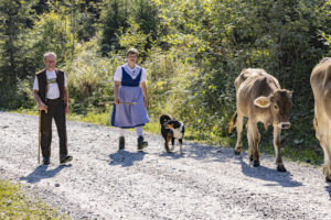 Alp, Alpabfahrt, Alpen, Alps, Appenzell, Appenzell Ausserrohden, Appenzeller Hinterland, Autumn, Fall, Herbst, Kühe, Landwirtschaft, Ostschweiz, Schweiz, Sennen, Suisse, Switzerland, Tracht, Urnaesch, Wirtschaft, alps, tradition, Öberefahre