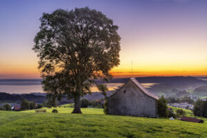 Appenzell, Appenzell Ausserrohden, Appenzeller Vorderland, Aussicht, Baum, Bodensee, Heiden, Morgen, Ostschweiz, Schweiz, Sommer, Sonnenschein, Suisse, Switzerland, summer