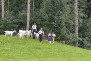 Appenzell, Appenzell Ausserrohden, Bühler, Ostschweiz, Schweiz, Suisse, Switzerland, Tier, Tracht, Viehschau, tradition