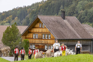 Appenzell, Appenzell Ausserrohden, Bühler, Ostschweiz, Schweiz, Suisse, Switzerland, Tracht, Viehschau, tradition
