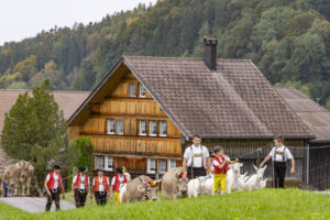 Appenzell, Appenzell Ausserrohden, Bühler, Ostschweiz, Schweiz, Suisse, Switzerland, Tracht, Viehschau, tradition