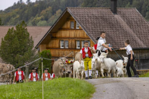 Appenzell, Appenzell Ausserrohden, Bühler, Ostschweiz, Schweiz, Suisse, Switzerland, Tier, Tracht, Viehschau, tradition