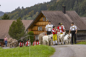 Appenzell, Appenzell Ausserrohden, Bühler, Ostschweiz, Schweiz, Suisse, Switzerland, Tier, Tracht, Viehschau, tradition