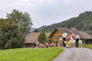 Appenzell, Appenzell Ausserrohden, Bühler, Ostschweiz, Schweiz, Suisse, Switzerland, Tier, Tracht, Viehschau, tradition