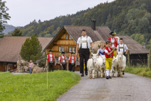 Appenzell, Appenzell Ausserrohden, Bühler, Ostschweiz, Schweiz, Suisse, Switzerland, Tier, Tracht, Viehschau, tradition