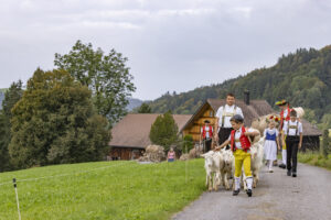 Appenzell, Appenzell Ausserrohden, Bühler, Ostschweiz, Schweiz, Suisse, Switzerland, Tier, Tracht, Viehschau, tradition