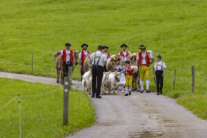 Appenzell, Appenzell Ausserrohden, Bühler, Ostschweiz, Schweiz, Suisse, Switzerland, Tracht, Viehschau, tradition