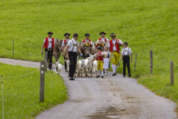 Appenzell, Appenzell Ausserrohden, Bühler, Ostschweiz, Schweiz, Suisse, Switzerland, Tracht, Viehschau, tradition