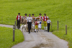 Appenzell, Appenzell Ausserrohden, Bühler, Ostschweiz, Schweiz, Suisse, Switzerland, Tracht, Viehschau, tradition