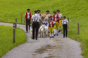Appenzell, Appenzell Ausserrohden, Bühler, Ostschweiz, Schweiz, Suisse, Switzerland, Tracht, Viehschau, tradition