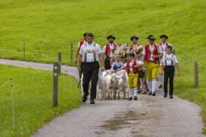 Appenzell, Appenzell Ausserrohden, Bühler, Ostschweiz, Schweiz, Suisse, Switzerland, Tracht, Viehschau, tradition