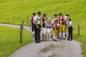 Appenzell, Appenzell Ausserrohden, Bühler, Ostschweiz, Schweiz, Suisse, Switzerland, Tracht, Viehschau, tradition