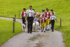 Appenzell, Appenzell Ausserrohden, Bühler, Ostschweiz, Schweiz, Suisse, Switzerland, Tracht, Viehschau, tradition