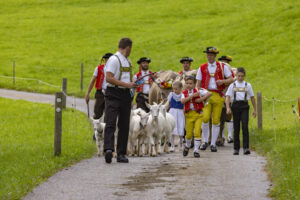 Appenzell, Appenzell Ausserrohden, Bühler, Ostschweiz, Schweiz, Suisse, Switzerland, Tracht, Viehschau, tradition