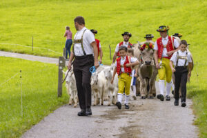 Appenzell, Appenzell Ausserrohden, Bühler, Ostschweiz, Schweiz, Suisse, Switzerland, Tracht, Viehschau, tradition