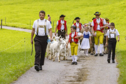 Appenzell, Appenzell Ausserrohden, Bühler, Ostschweiz, Schweiz, Suisse, Switzerland, Tier, Tracht, Viehschau, tradition