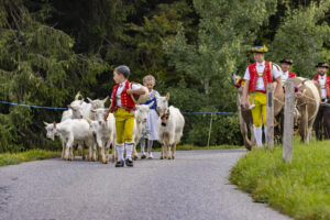 Appenzell, Appenzell Ausserrohden, Bühler, Ostschweiz, Schweiz, Suisse, Switzerland, Tier, Tracht, Viehschau, tradition