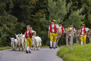 Appenzell, Appenzell Ausserrohden, Bühler, Ostschweiz, Schweiz, Suisse, Switzerland, Tier, Tracht, Viehschau, tradition