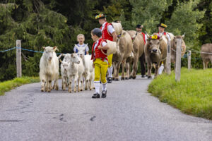 Appenzell, Appenzell Ausserrohden, Bühler, Ostschweiz, Schweiz, Suisse, Switzerland, Tier, Tracht, Viehschau, tradition