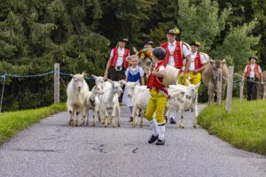 Appenzell, Appenzell Ausserrohden, Bühler, Ostschweiz, Schweiz, Suisse, Switzerland, Tier, Tracht, Viehschau, tradition