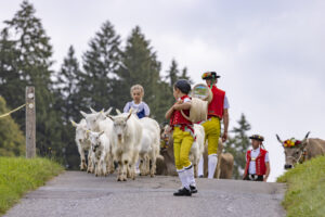 Appenzell, Appenzell Ausserrohden, Bühler, Ostschweiz, Schweiz, Suisse, Switzerland, Tier, Tracht, Viehschau, tradition