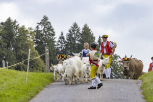 Appenzell, Appenzell Ausserrohden, Bühler, Ostschweiz, Schweiz, Suisse, Switzerland, Tier, Tracht, Viehschau, tradition