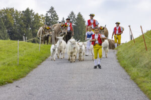 Appenzell, Appenzell Ausserrohden, Bühler, Ostschweiz, Schweiz, Suisse, Switzerland, Tier, Tracht, Viehschau, tradition