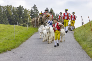 Appenzell, Appenzell Ausserrohden, Bühler, Ostschweiz, Schweiz, Suisse, Switzerland, Tier, Tracht, Viehschau, tradition