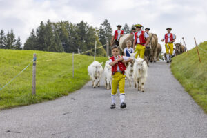 Appenzell, Appenzell Ausserrohden, Bühler, Ostschweiz, Schweiz, Suisse, Switzerland, Tier, Tracht, Viehschau, tradition