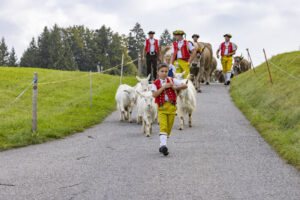 Appenzell, Appenzell Ausserrohden, Bühler, Ostschweiz, Schweiz, Suisse, Switzerland, Tier, Tracht, Viehschau, tradition