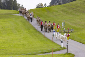 Appenzell, Appenzell Ausserrohden, Bühler, Ostschweiz, Schweiz, Suisse, Switzerland, Tracht, Viehschau, tradition