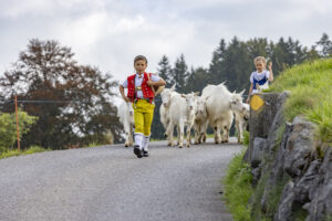 Appenzell, Appenzell Ausserrohden, Bühler, Ostschweiz, Schweiz, Suisse, Switzerland, Tier, Tracht, Viehschau, tradition