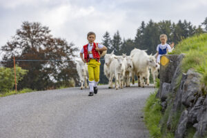 Appenzell, Appenzell Ausserrohden, Bühler, Ostschweiz, Schweiz, Suisse, Switzerland, Tier, Tracht, Viehschau, tradition