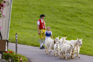 Appenzell, Appenzell Ausserrohden, Bühler, Ostschweiz, Schweiz, Suisse, Switzerland, Tier, Tracht, Viehschau, tradition